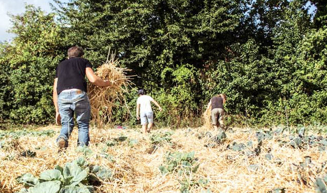 Blue Bees : financement solidaire