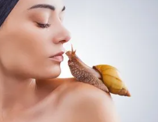 Soins bave d'escargot - VM Makeup