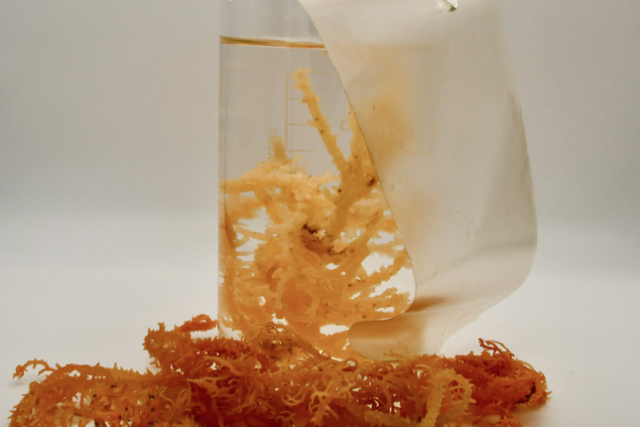 Emballage biodégradable : FlexSea