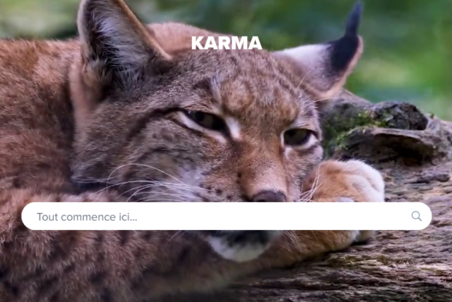 Moteur de recherche écologique - Karma