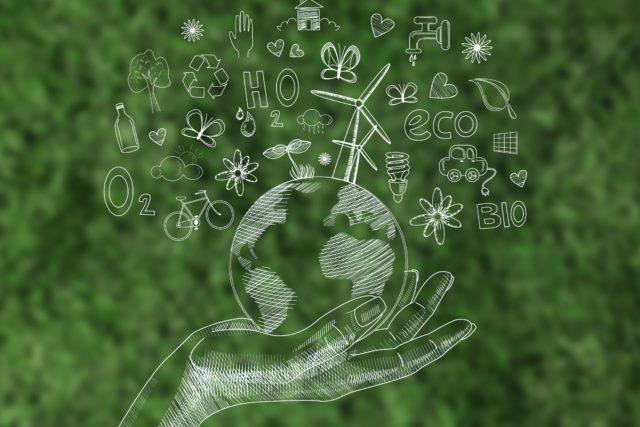 Solution pour préserver la biodiversité - BeeOdiversity