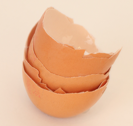 Bio déchets - Circul’egg