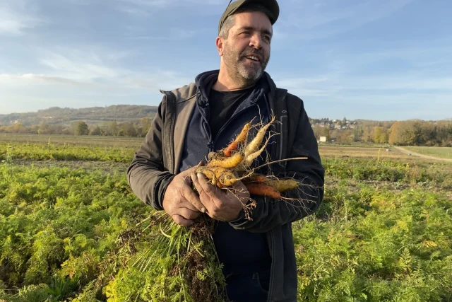 BeneBono - bio pas cher