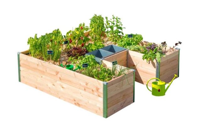 Mon petit potager - Potager autonome